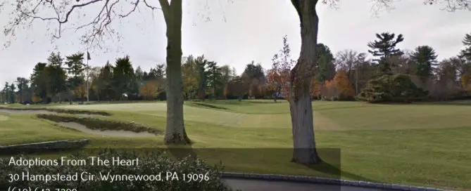 golf course near adoption agency in Haverford, PA