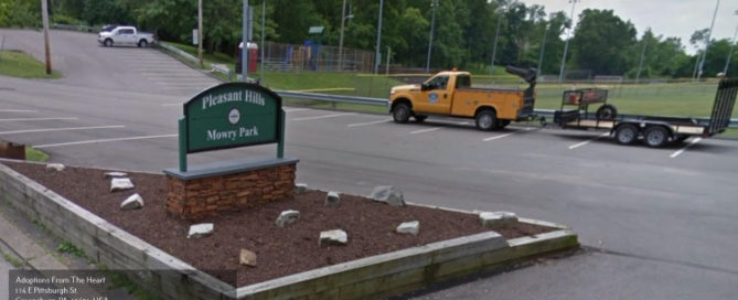 park near adoption agency Pleasant Hills, PA