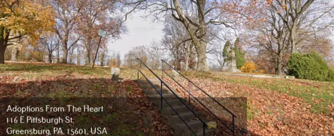 park near adoption agency in Greensburg, PA