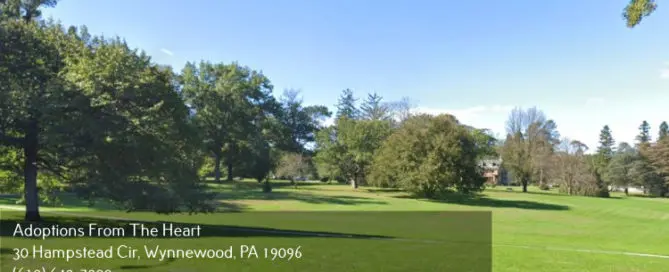park near adoption center in Rosemont, PA