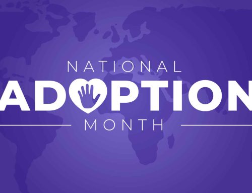 Meet Nicole Fowler: National Adoption Month Series