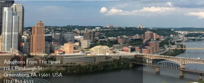 skyline near adoption agency in Pittsburgh, Pennsylvania