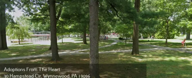 south ardmore park near adoption agency in Wynnewood, PA